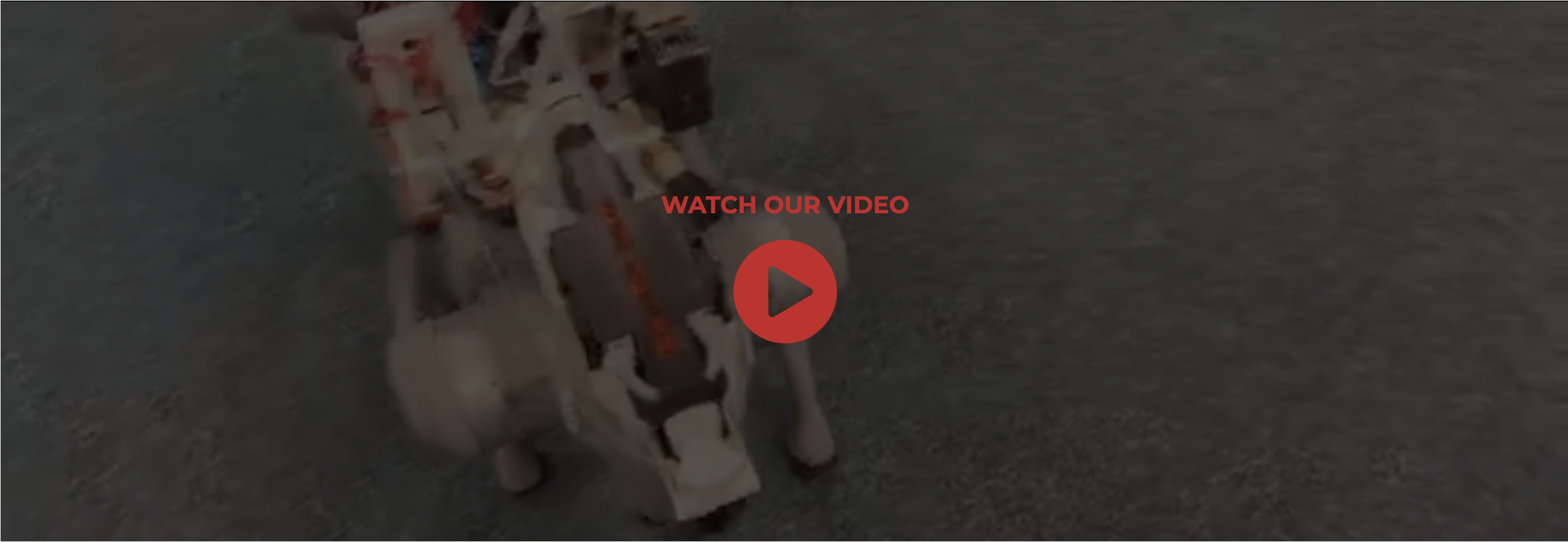 Play video on mobile